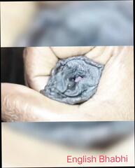 Video 1665146091: hairy lesbian licked fingered, hairy lesbian squirts, lesbian finger fucking licking, hairy pussy fingered fucked, hairy pussy fucked creampie, lesbian girls finger fuck, fingering wifes hairy pussy, hairy pussy squirts cums, hairy pussy masturbation squirt, fingering anal creampie pussy, indian hairy aunty pussy, lesbian finger fucks hot, hairy aunty sex, desi aunty fingering, squirting creampie female, fucking creampie blowjob facial, desi aunty homemade sex, lady fingering fucking, lesbian straight fucking, aunty desi sex hindi, aunty sex home, fingered mouth fucked, aunty sex hd, hairy english