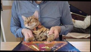 Video 1579669023: hentai lesbian sex, hentai jav, hentai gangbang, jav wife pussy, wife gangbang orgasms, lesbian group sex amateur, lesbian pussy toying, sex hentai porn, group sex party gangbang, lesbian sex doll, japanese wife gangbang, hentai rough sex, hentai pmv, hentai female, good pussy