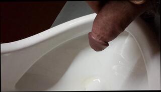 Video 1623855541: pissing, gay swiss
