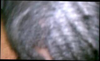 Video 151719301: eating cunnilingus, black cunnilingus, straight cam, cam ex, ebony cam