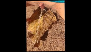 Video 1592766583: pissing peeing fetish, solo pee fetish, pissing peeing girls, girl squirting pissing, teen piss solo, teen pov squirt, solo squirt amateur, pee pissing outdoor, female pov peeing, extreme solo squirt, mature solo squirt, girl pissing outside, public peeing girls, piss park, nature pissing, girl large