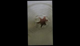 Video 1664366473: amateur pov creampie, fleshlight creampie, solo male fleshlight