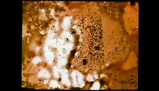 Video 1660885331: vintage retro blowjobs, blonde vintage retro classic, vintage retro big, vintage pussy eating, retro big ass, vintage straight, best vintage, hd vintage, ass big pussy lips, big ass juicy pussy, ass moist pussy