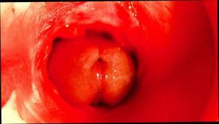 Video 1658265181: fetish twinks anal, gay twink fetish, twink oiled, twink gay boys cum, twink boy gay sexy, twink sexy teen boy, sexy twink boy fucked, twink boy gay sex, twinks gays boys masturbations, gay twink boy ass, twinks anal sex cumshot, dick twink anal sex, twink cums moans, twink boy sex hot, deep throat twink sex, twink boys big cocks, twink boy toy, twink anal orgasm, gay man fucking twink, rough teen fetish sex, twink russian boy, massive dick twink, sex doll fetish, twink sex hd, oil close, hole moaning