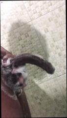Video 1624556321: solo gay cock, gay homemade solo, amateur solo cock, homemade teen solo, big cock solo, teen solo hd, solo brazilian, cock sucking, yummy dick