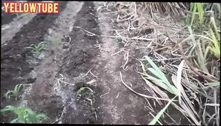 Video 1656967161: pissing gay porn, piss porn first time, indian gay pissing, pissing asian gay, pissing black gay, pissing amateur, desi pissing, pissing hd, romantic gay porn