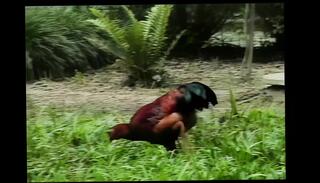 Video 1658237231: vintage shemale fucks guy, vintage anal fucking, vintage trans, vintage ladyboy, vintage blowjob, man vintage, hd vintage