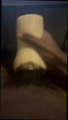 Video 1619893921: solo masturbation fleshlight, solo masturbation oiled, solo guy fleshlight, skinny guy solo, solo masturbation sex toys, oil gay sex, solo masturbating straight, young skinny gay, solo masturbation hd, skinny african