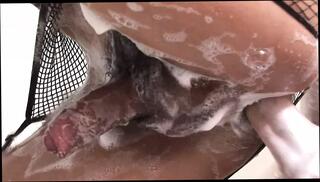 Video 1587123491: hot tranny sex, shemales hd porn, tranny behind, stockings tranny