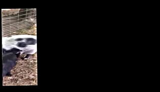 Video 1621740035: amateur hardcore porn, big butt amateur brunette