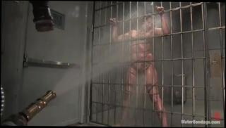 Video 1621660294: carmen mccarthy, delilah strong, bondage domination bdsm, bdsm bondage fetish, hogtied, dominated tattooed, dominant blonde, sexy natural breasts, 18 years old couple, perfect natural breasts