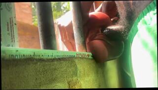 Video 1657305461: femboy teen skinny crossdresser, ftm fucks hairy pussy, gay femboys crossdressing, crossdresser femboy cum, skinny hairy boy, skinny hairy amateur, femboy japanese crossdresser, hot femboy crossdresser, skinny black hairy, hairy boy gay sex, hairy gay cock fucked, hairy pussy ass fucked, fucks ftm man pussy, skinny white boy fucked, hairy nude men gay, skinny young boy gay, hairy old pussy fucked, bubble butt femboy, big ass femboy fucked, hairy arab fucks, crossdresser public fuck, hairy pussy hd, skinny nigerian, hairy jewish, hairy english, dick very hard