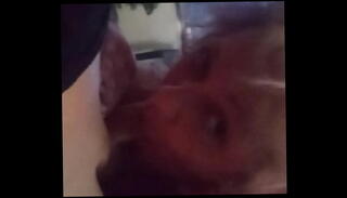 Video 1494980635: cougar deep throats, blonde cougar blowjob, cougar cumshots, cougar sex, old cougar, cougar young, prostitute deep throat, men deep throat
