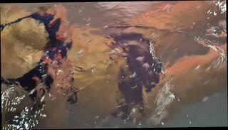 Video 1654242851: amateur straight french, jacuzzi amateur