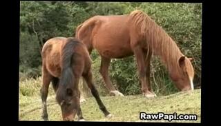 Video 307402215: hot latin bareback, latino gay anal