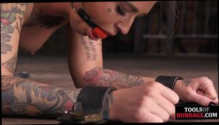 Video 1609231684: bdsm babe whipped, whipping pussy fingering, babe fingering toying pussy, fingering pussy fucking toy, tits bdsm, big tits bdsm, tattooed bdsm