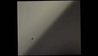 Video 1577263795: gloryhole, gay blowjob cumshot