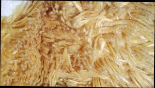 Video 1655933531: bareback piss asian twink, twink slave bareback, vintage twinks bareback, gay bareback twink boy, twink rides cock bareback, bareback twink gay sex, twink femboy boy, daddy barebacks asian twink, femboy twink cums, femboy teen twink, twink femboy masturbates, barebacks young twink gay, amateur asian twink bareback, japanese twink bareback sex, solo twink boys, twink big cock bareback, vintage twinks first time, pinoy twink barebacked, hot asian twink bareback, bareback latino twink, twinks piss loving, barebacks black twink, twink boy fisting, masturbation indian boy solo, piss cum gay men, twinks old men gay, teen femboy old man, pissing boys public, twink cum mouth, twink sex hd, jewish boy