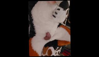 Video 1622769433: fetish solo masturbation, fetish gay solo, furry fetish, dirty talk solo masturbation, solo masturbation hard cock, cock solo boy, cock solo male masturbation, boy solo cumshot, amateur solo boy, daddy solo masturbation, cute boy solo, good solo, boner solo, cock takes cum