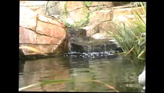 Video 1657061661: brooke banner, tits busty big boobs, busty big ass tits, busty blonde big boobs, busty big ass beauty, busty blonde pussy, busty blonde cock, busty shaved pussy, busty blonde cums, busty big dick, busty tattooed beauty, busty blonde outdoor, massively busty, giant busty, hd busty, straight cock cum, boobs takes big cock, large cock cum, pecker cum