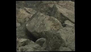 Video 799892975: lover kissing, kissing public