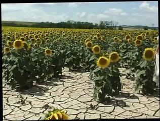 Video 1658639521: alexa weix, lesbian fingering dildo, lesbian girls fingering pussy, horny lesbian fingers pussy, lesbian girl friend fingering, pussy eating fingering lesbian, gorgeous lesbian fingering, fingering lesbians outdoors, lesbian gf pussy, lesbian straight girl, fingering pussy dirty, girl cut