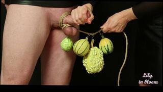 Video 1655812793: femdom rope bondage, cbt femdom bdsm, bdsm femdom fetish, milf femdom bdsm, cbt balls bondage, femdom cbt handjob, hardcore bdsm rope, bondage squirting orgasm, femdom amateur milf, bondage rope tied, mature milf squirt, milf big squirt, femdom penis, squirt sperm