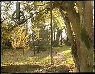 Video 127197401: carol lynn, latex toys, cumshot latex, latex hardcore, latex sex, latex stockings, toys straight, skin straight