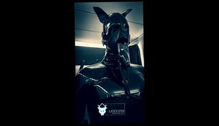 Video 1663640583: bdsm bondage slave femdom, femdom piss slave, solo bdsm femdom, amateur bdsm slave, latex catsuit mask, mistress male slave, solo piss play, latex puppy, filled condom