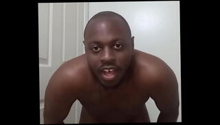 Video 1626069175: pet ass, pet dog, ass bathroom