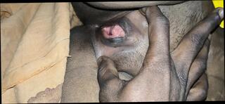 Video 1664665411: brother step sister homemade, brother sister mom, brother step sister sex, teen step brother sister, ass indian aunty doggy, skinny teen step sister, big ass stepmom doggy, sister step brother desi, brother step sister first, japanese step sister brother, brother friends sister, japanese stepmom uncensored, stepmom twerks, indian aunty sex boy, aunty girl sex indian, aunty blowjob boy, girls sex uncensored hd, wife big ass doggy, aunty desi sex hindi, brother girl friend cheating, desi old aunty sex, beautiful indian aunty sex, indian aunty outdoor sex, bangladeshi aunty sex, skinny mature step mom, sister first time sex, college girl step sister, black teen step sister, straight step brother, waxed boy, skinny boy play, aunty indian 18 year, brother eating, stepmom smoking, girl friend spits, girl friend funny