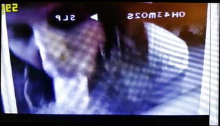 Video 781678501: couple cock sucking, sucking shemale cock, suck shorts