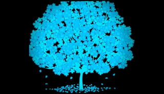 Video 1562693915: cock anal plug, trap anal