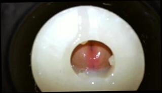 Video 78532901: mouth sex toys, throat filled, throat load, gay filled, toy shoots, man gay