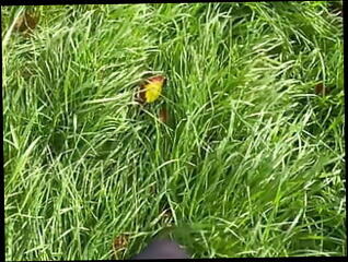 Video 1621383991: nylon feet foot, pov nylon feet, nylon foot fetish, foot fetish solo, amateur homemade foot fetish, girl nylon feet, nylon socks foot, wet nylon feet, foot fetish cute, outdoor foot fetish, foot fetish hd, straight amateur solo, soaked feet, leather fetish girls, british girl solo, leather boots fetish, 18 year old foot, feet drenched, intimate pov, natural foot, girl mud