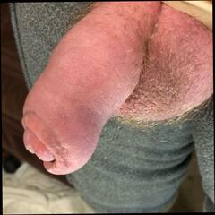 Video 1665328301: solo gay uncut cock, hairy uncut big dick, uncut hairy penis, hairy uncut daddy, hairy uncut bear, hairy uncut white, hairy men solo, hairy muscle solo, hairy man solo, hairy mature solo, uncut cock big balls, huge uncut cock gay, hairy naked gay men, hairy nude gay, big fat uncut cock, cock close uncut, big uncut cock hot, massive uncut cock, giant cock solo, old uncut cock, hot solo webcam, wearing cockring, hairy mature beach, hd uncut, balls explode, jizz exploding, cock head