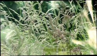 Video 1623792611: conny dachs, cumshots facials vintage, vintage fuck, vintage erotic, vintage big cock, vintage blowjob, vintage straight, vintage german, hd vintage, best anal porn, fuck berlin, cruel anal