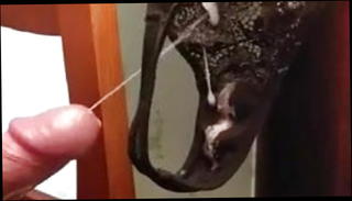 Video 1219459901: cum wanking jerking, dirty girl cum, gay jerks cum, girl friends dirty panties, girl friend cumshot, girl friend thong