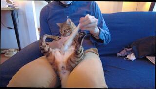 Video 1579371513: pussykat, amateur milf anal creampie, milf massaged pussy, milf creampie first time, massage loving milf, asian milf massage, pussy massage orgasm, anal creampie surprise, indonesia massage