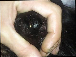 Video 914603001: pissing peeing, pee straight, hairjob