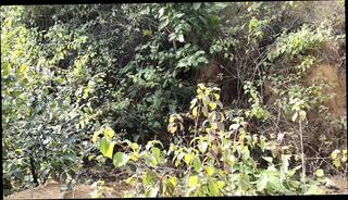 Video 1658441061: teen sister fucks brother, brother stepsister hot sex, lesbian step sisters dirty, brother step sister homemade, brother sister mom, brother step sister hardcore, sister teaches step brother, sister step brother desi, indian brother step sister, brother step sister first, bisexual stepsister, lesbian girls sex fuck, stepsister's wet pussy fuck, nude step sister sex, teen beauty lesbian girls, fucks step sisters boy, hot lesbian couple fucking, lesbian straight girl, stepsister dirty talk, girls first time lesbian, fucking step sister outdoors, russian lesbian girls, stepsister rough fucked, hottest lesbian couple, bisexual housewife, teen lesbian hd, bangladeshi stepsister, stepsister huge, pussy girl orgasm, girl friends wet pussy, groans