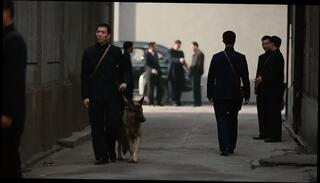 Video 381599801: straight sex, lustful sex, asian celebrity sex, hd celebrity sex