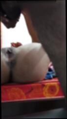 Video 1623428671: foot fetish worship, aunty doggy style sex, girl foot worship, boy foot worship, pornstar foot fetish, desi aunty doggy style, friend foot worship, indian aunty doggy style, foot fetish home, foot leg worship, foot worship hd, aunty kissing boy, girl friend rough doggy, desi old aunty sex, doggy style straight, aunty indian 18 year, dogging doggy style, doggy style mouth, worship smothering