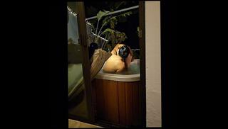 Video 1658484473: crossdresser femboy sissy, sissy bareback creampie, trans femboy sissy, sissy femboy amateur, sissy crossdresser anal, bareback sex creampie, girl sex amateur creampie, sissy anal orgasm, sissy ejaculates