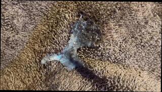 Video 1656902251: hairy pussy cumshot compilation, milf wife's hairy pussy, tits milf hairy pussy, milf hairy pussy fuck, milf hairy wet pussy, tiny hairy pussy, hairy pussy jav, milf asian hairy pussy, tiny hairy teen, big tits jav compilation, hairy milf cums, very hairy milf, beautiful hairy milf, hairy old milf, teenie tiny girl fucked, hairy pussy mom fucking, cocks hairy pussy fucked, hairy pussy babe fucked, cum inside pussy compilation, tiny pussy huge cock, tiny small tits teen, hairy pussies straight, tiny pussy hole, tiny pussy cute, tiny teen 18 years, tiny petite pussy, pussy cuming