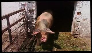 Video 1657204251: lesbian milf finger fucking, tit lesbian milfs finger, lesbian milf fingering blonde, pawg milf granny, milf lesbian anal fucking, granny fucks young lesbian, fucks old lesbian granny, vintage milf fucking, milf fucks hot lesbian, sexy vintage milf, amateur pawg milf, vintage milf sex, big tit pawg milf, granny milf blowjob, hardcore lesbian granny, classic vintage lesbian, mature milf pawg, lesbian milfs outdoor, milf fingers hard, milf rough anal fucked, lesbian straight fucking, milf fucked hd