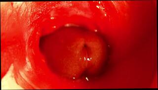 Video 1658265243: solo dick creampie, solo creampie ass, solo male creampie, fetish creampie, hardcore blowjob creampie orgasmic, creampie amateur cumshot blowjob, creampie blowjob amateur anal, creampie moaning orgasm, hardcore creampie vagina, pussy creampie orgasm, solo toy orgasm, big dick anal creampie, best amateur creampie, massive pussy creampie, pussy creampie close, creampie sperm, camera creampie, hole moaning