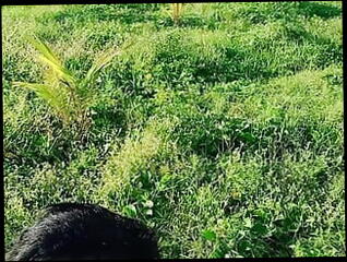 Video 1611356551: teen boy solo masturbation, solo cock masturbation cum, solo boy wanking, solo boy moaning, solo teen masturbating outdoors, solo wank cumshot, gay boy solo, solo hot wank, asian boy solo, teen solo hd, solo beach, solo tattooed, boy philippine
