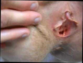 Video 806307704: hairy cunt spreading, hairy cunt cum, hairy cunt rubbed, hairy clit, small tits hairy, hairy mature amateur, hairy cumshot, hairy swollen, hairy office