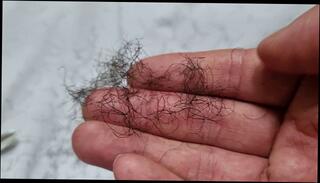 Video 1664832673: vintage solo, solo gay amateur, gay bear solo, amateur solo male, latino solo male